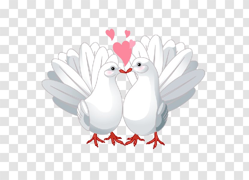 Columbidae Lovebird Doves As Symbols Clip Art Dove Transparent Png