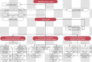 Organizational Structure Diagram Chart Tanzania Organization Transparent PNG