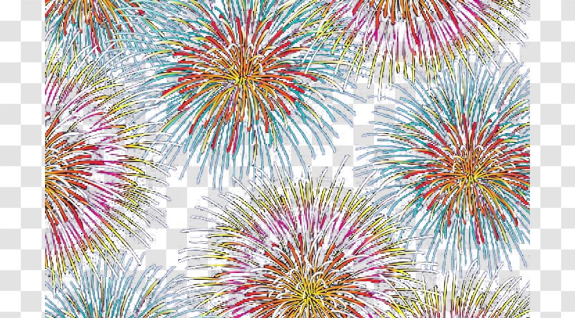 Sumidagawa Fireworks Festival - Sky - Multicolored Transparent PNG