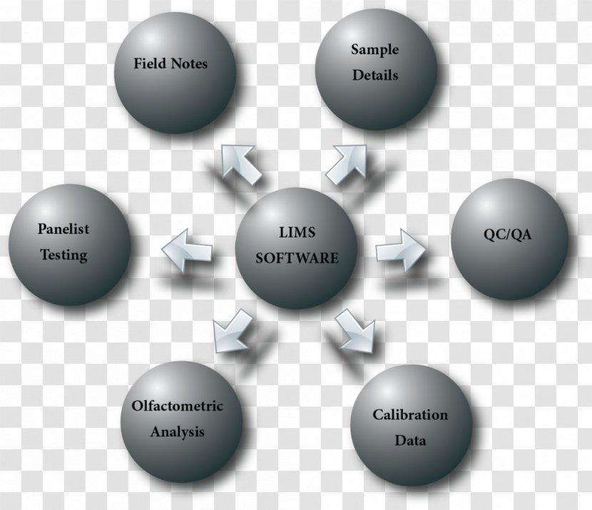 Laboratory Information Management System Odor Olfactometer - Brand Transparent PNG