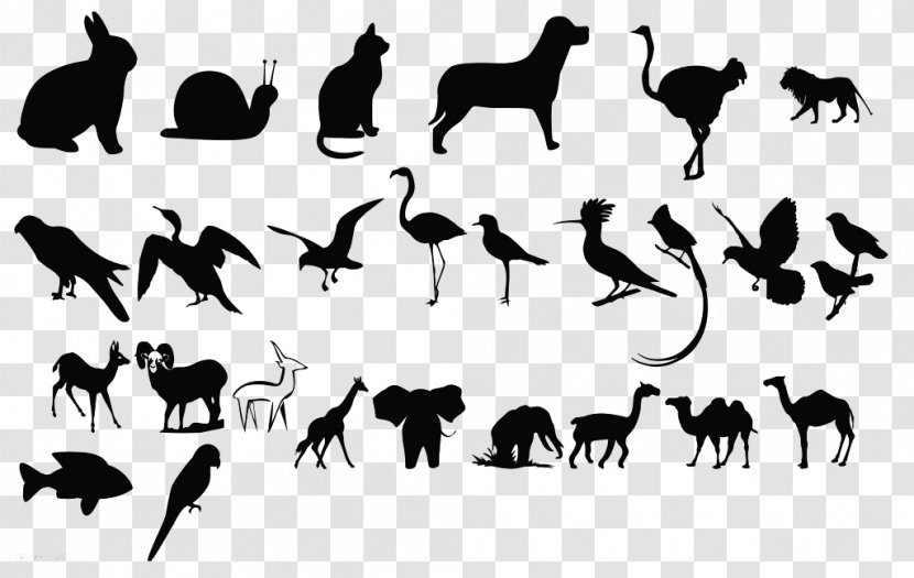 Black And White Animal Poster - Cartoon - Silhouettes Transparent PNG