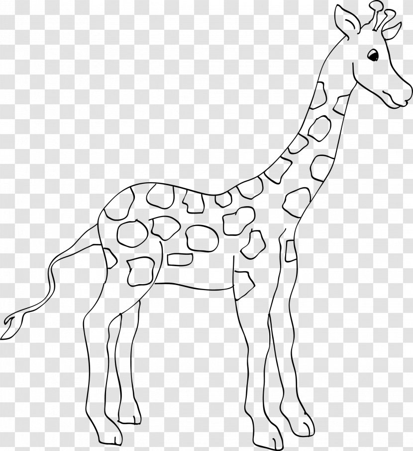 Animal Giraffe Coloring Book Ausmalbild Zoo - Northern Transparent PNG