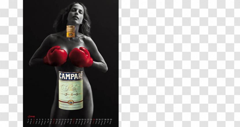 Campari Distilled Beverage Liqueur Alcoholic Drink Wine - Bottle - The Lake Transparent PNG
