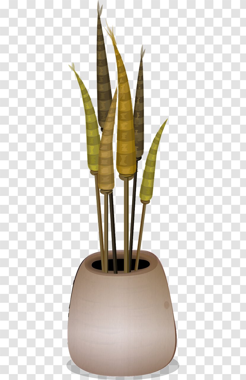 Flowerpot Houseplant - Penjing - Plant Transparent PNG