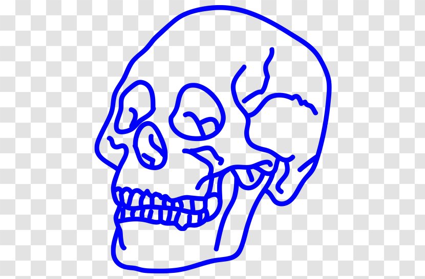 Line Art Black And White Skull - Watercolor - Bca Transparent PNG