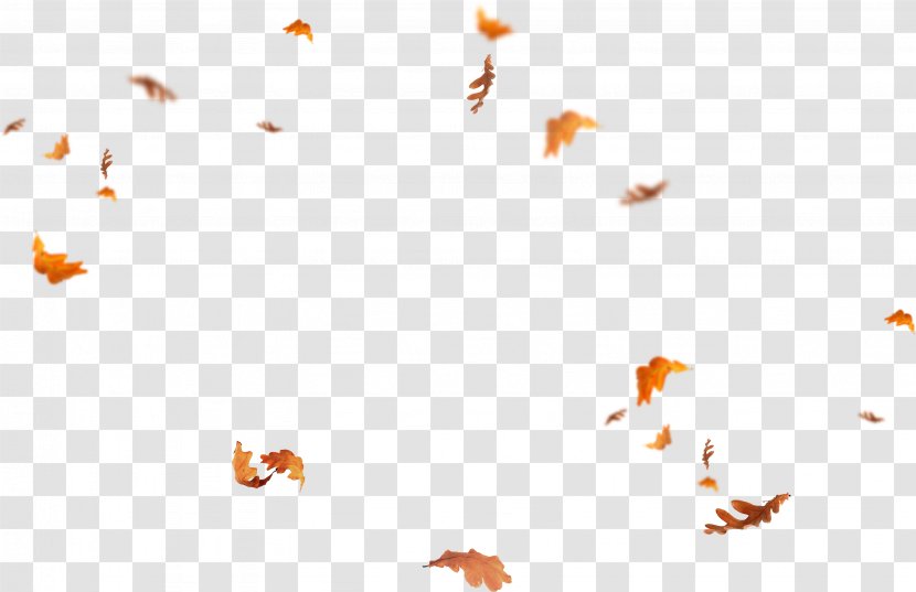 Leaf Desktop Wallpaper Adobe Photoshop Overlay - Pollinator Transparent PNG