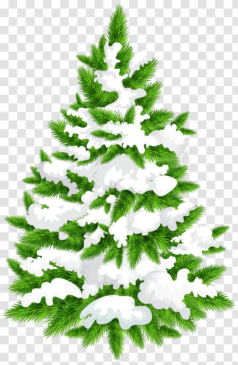 Pine Christmas Tree Clip Art - Snowy Image Transparent PNG