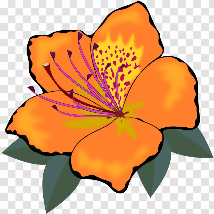 Flower Clip Art - Symmetry - Orange Transparent PNG