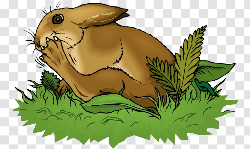 Domestic Rabbit European Hare Clip Art - Mammal Transparent PNG