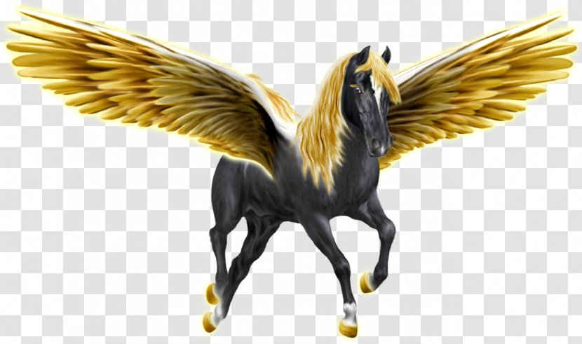 Pegasus Unicorn - Fauna Transparent PNG