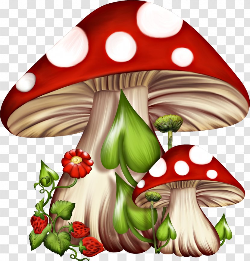 Mushroom Cartoon - Plant Agaric Transparent PNG