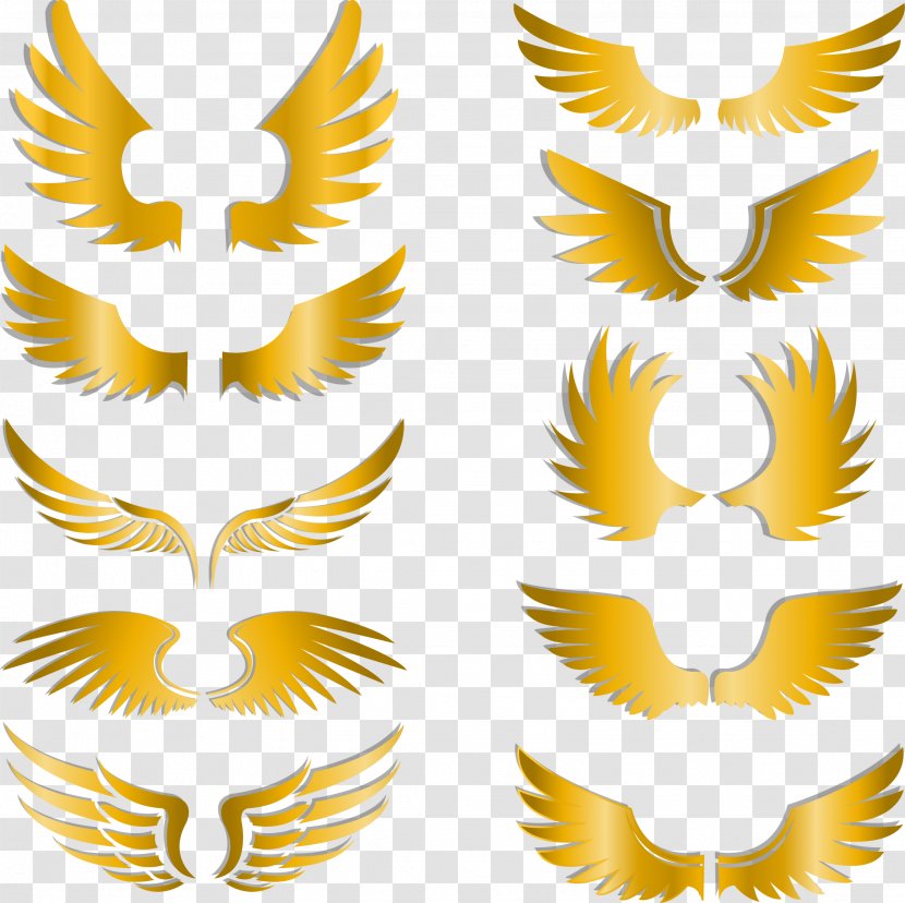 Clip Art - Symbol - Painted Gold Wings Transparent PNG