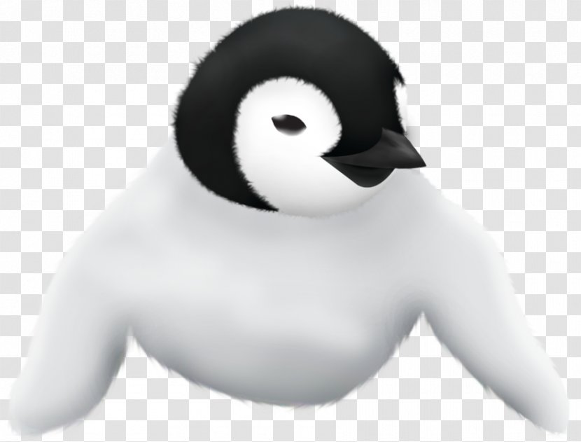 Duck Penguin Nose Beak Transparent PNG