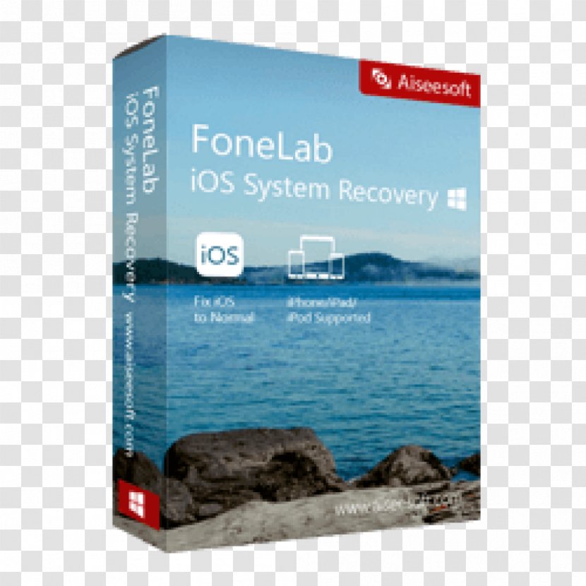 Data Recovery Computer Software Device Driver - Apple Transparent PNG