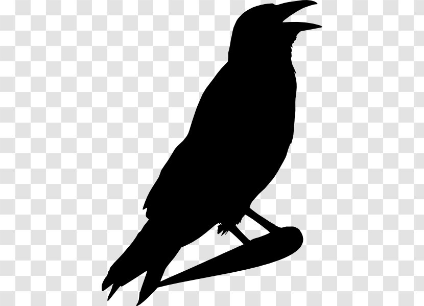 Crow Common Raven Clip Art - Family Transparent PNG