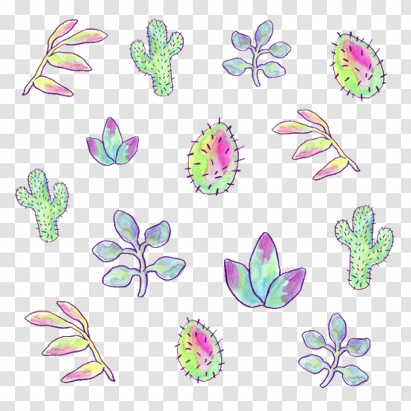 Cactus Succulent Plant Drawing Image Leaf Transparent PNG