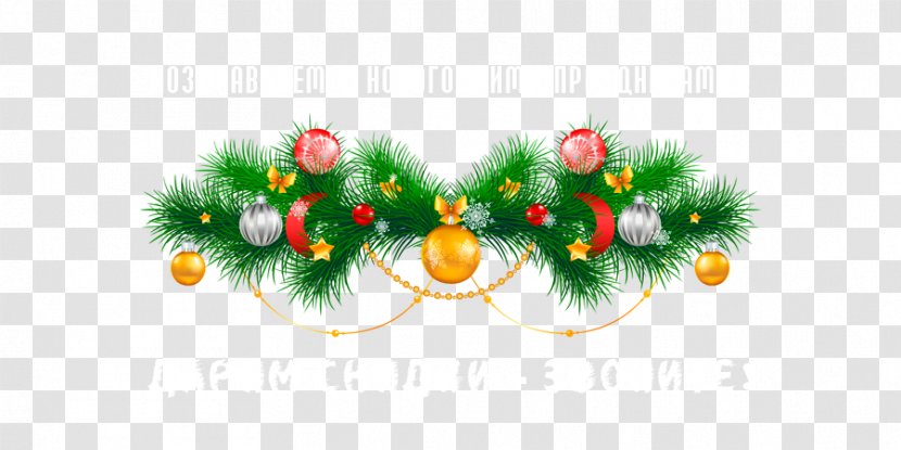 Clip Art Vector Graphics Christmas Day Image - Plant - New Year Theme Transparent PNG