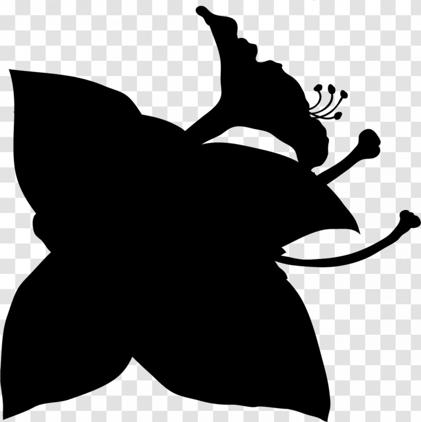 Black & White - Photography - M Leaf Clip Art Character Flower Transparent PNG