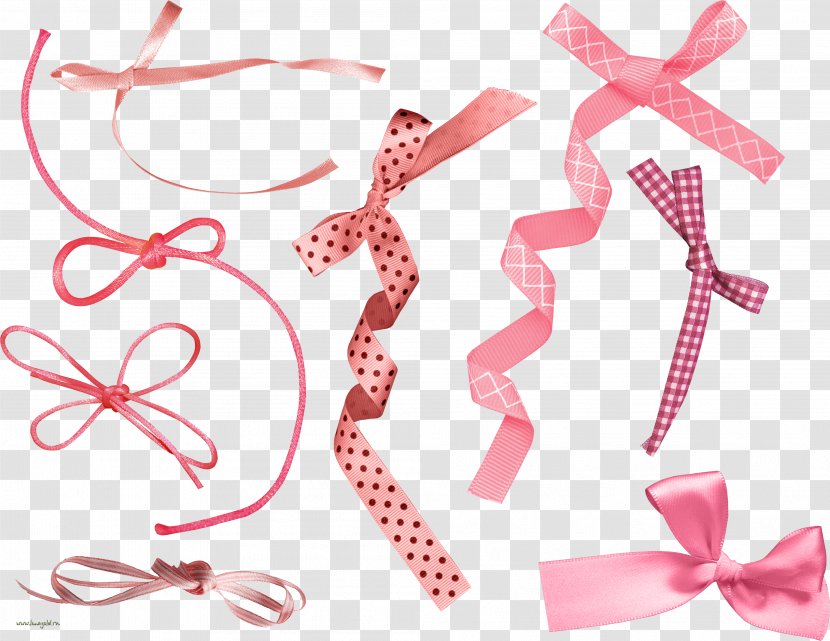 Ribbon Bow Tie Pink M Clothing Accessories Font - Petal Transparent PNG