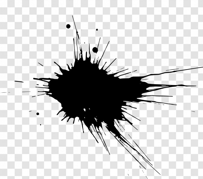 Black And White Monochrome Paint - Photography - Splatter Transparent PNG
