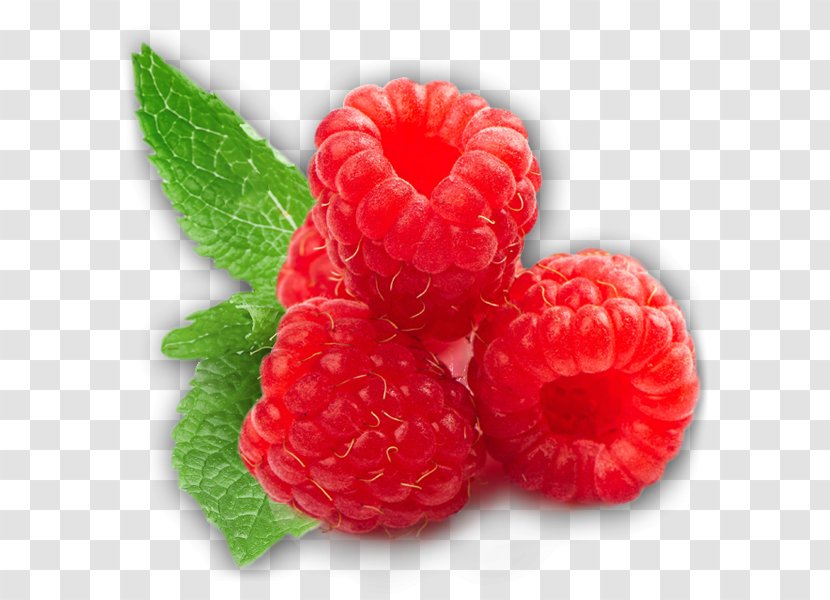 Raspberry Clip Art - Rraspberry Image Transparent PNG
