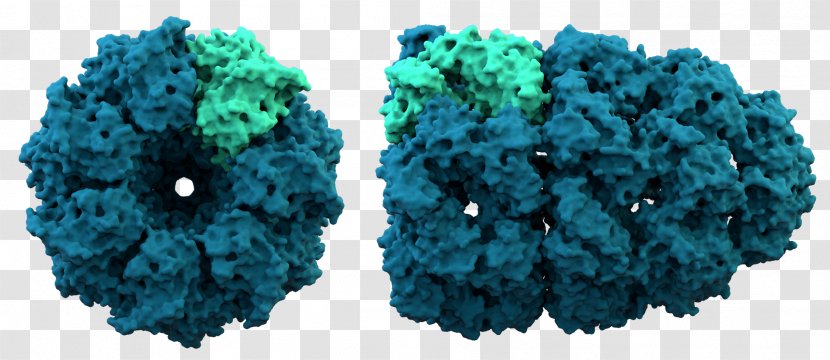 Protein Structure Chaperonin Folding Chaperone - Biosynthesis - Crystal Transparent PNG