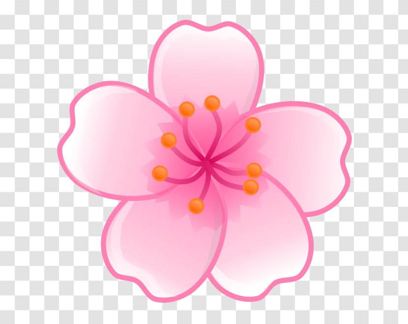 Cherry Blossom Flower Clip Art - Flowering Plant - Sakura Transparent PNG
