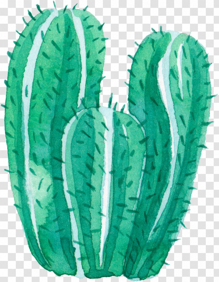 Cactaceae Watercolor Painting Leaf - Plant - Green Hand Painted Creative Cactus Transparent PNG