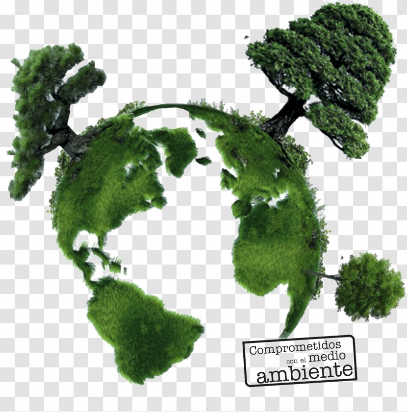 Natural Environment Environmentally Friendly Desktop Wallpaper Earth Recycling - Environmental Protection Transparent PNG