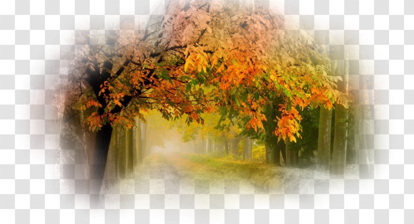 Nature Tree Desktop Wallpaper - Animal Transparent PNG