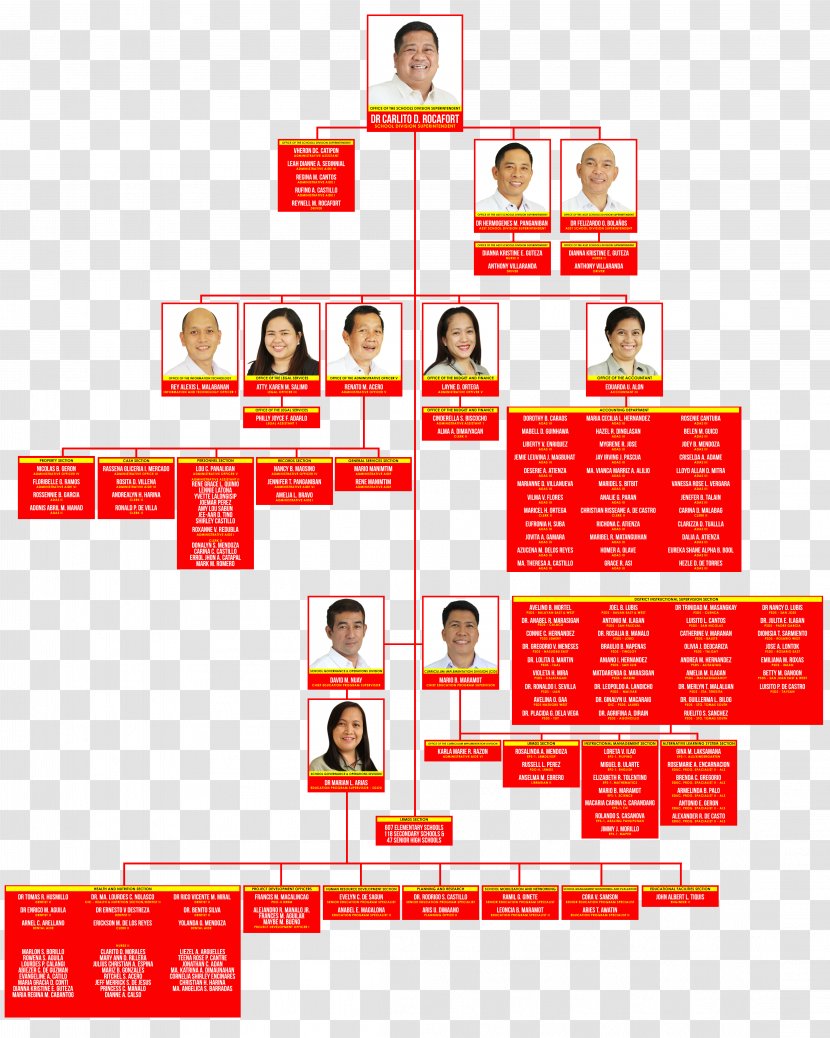 Batangas City Organizational Chart Department Of Education Structure - Organization Transparent PNG