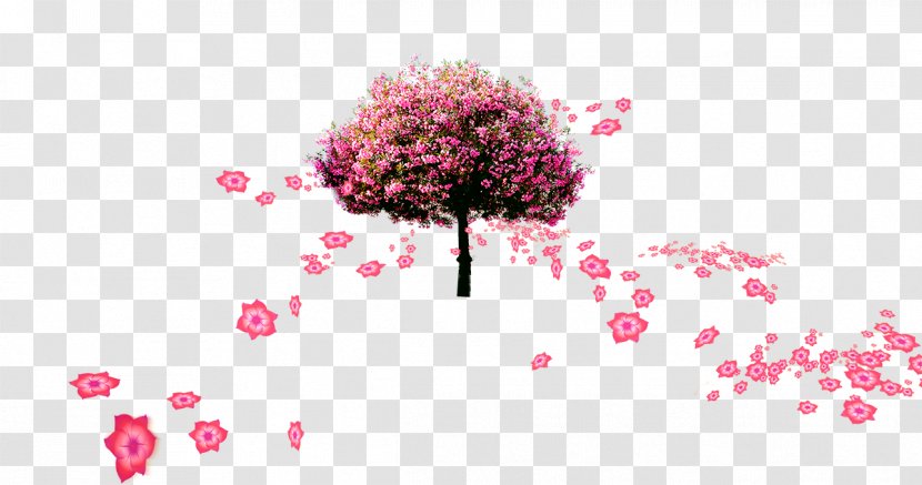 Petal Flower Tree - Arranging - Beautiful Blooms Falling Transparent PNG