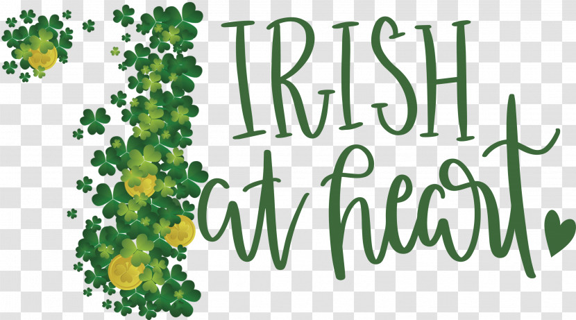 Shamrock Irish Saint Patrick Transparent PNG