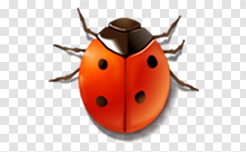 Bug Tracking System Software Testing - Ladybird Transparent PNG