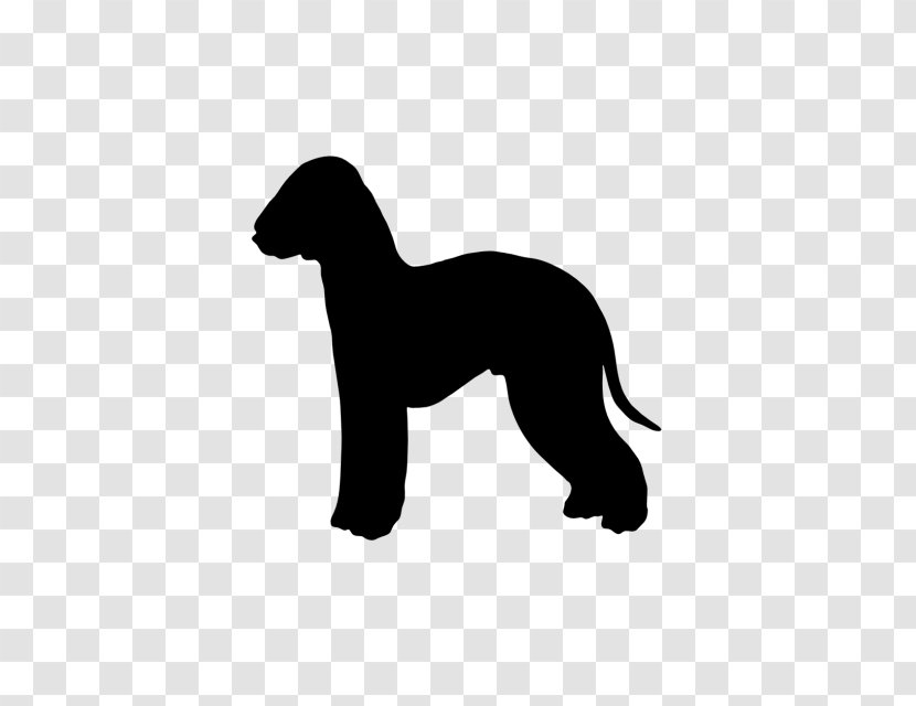 Italian Greyhound Dog Breed Bedlington Terrier Airedale Border - Puppy Transparent PNG