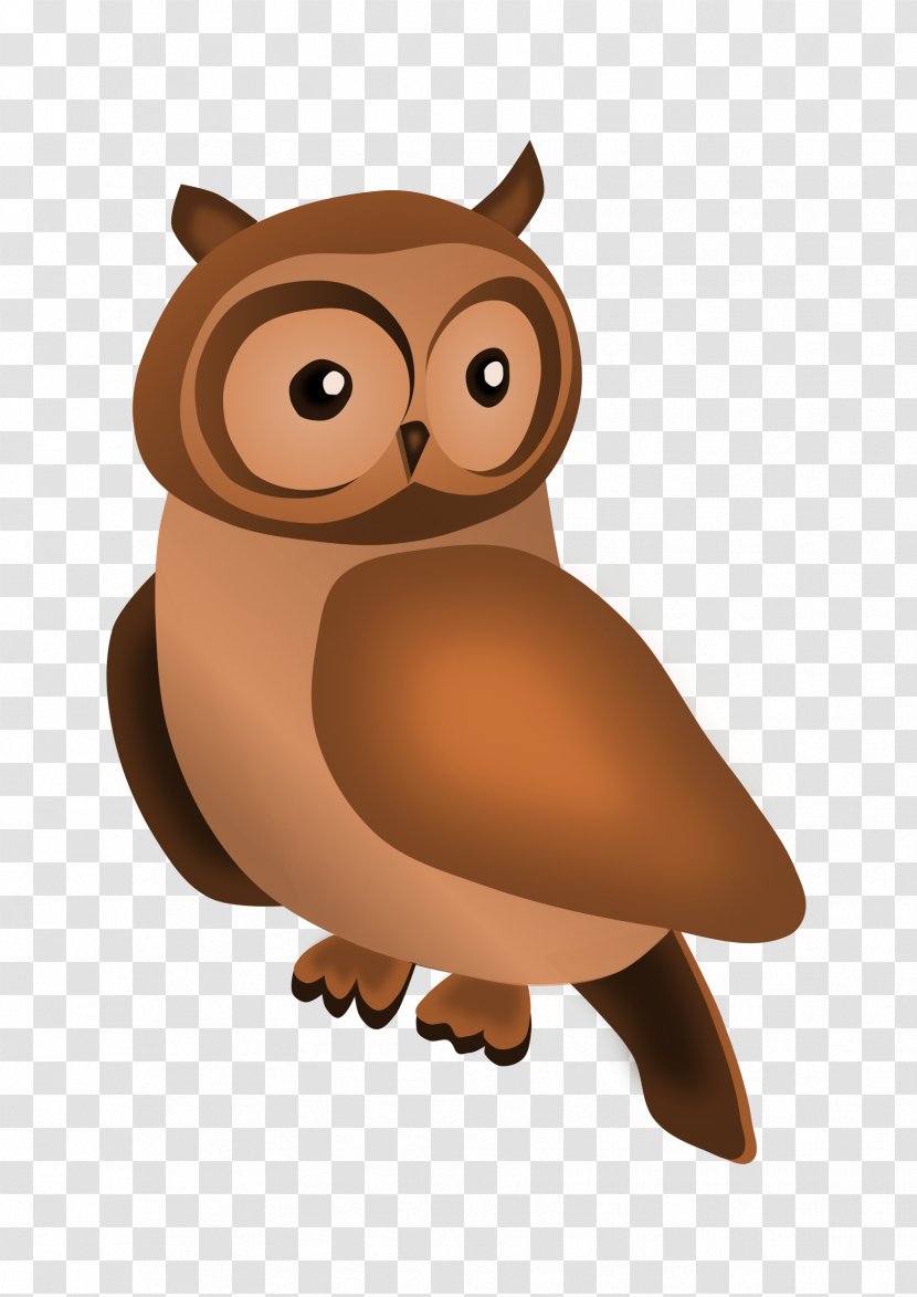 Owl Download - Animal Transparent PNG