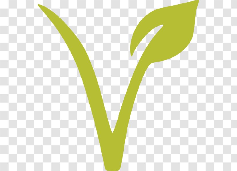 Veganism Vegetarianism Food Vegetarian And Vegan Symbolism Gluten - Avocados Transparent PNG