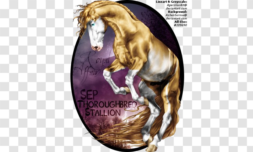 Mane Stallion Mustang Mare Colt - Halter - ROYAL HORSE Transparent PNG