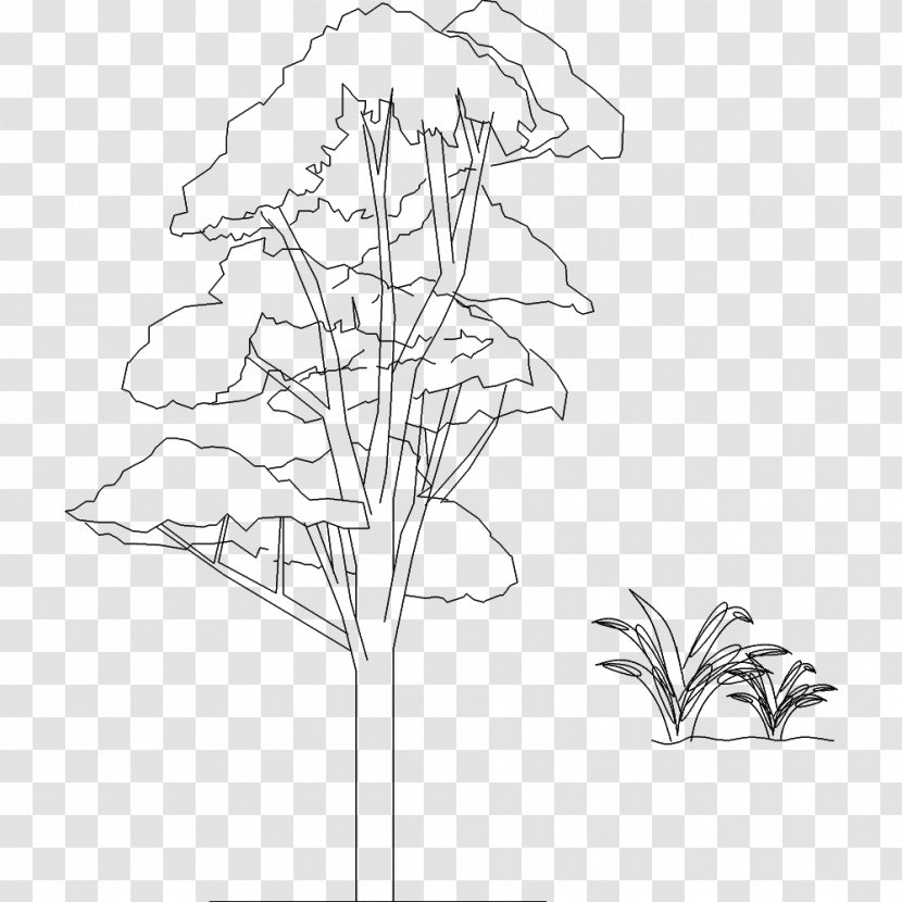 Twig Floral Design Sketch - Line Art Transparent PNG