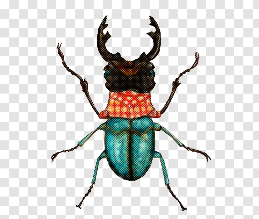 Textile Beetles Artist Weevil Japanese Rhinoceros Beetle Transparent PNG