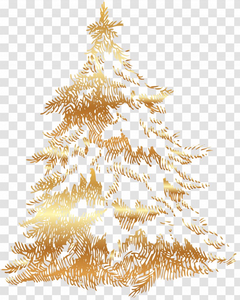 Christmas Tree Spruce Fir - Conifers Transparent PNG