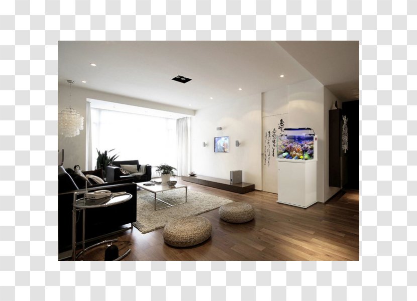 House Painter And Decorator Living Room Wall - Floor - Aquarium Decor Transparent PNG