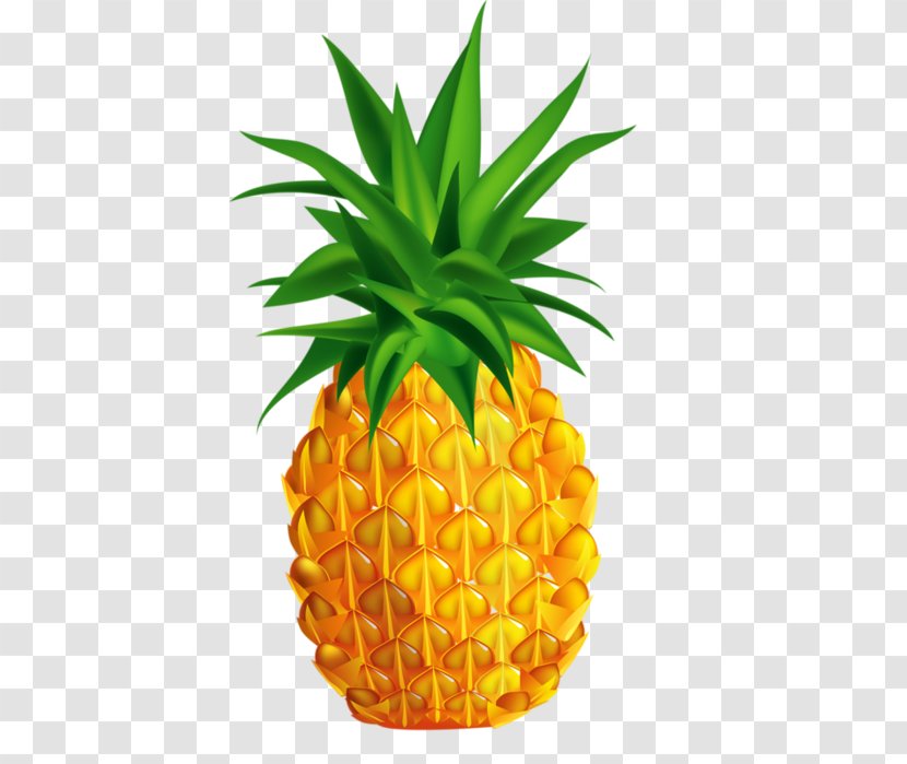 Pineapple Drawing Transparent PNG
