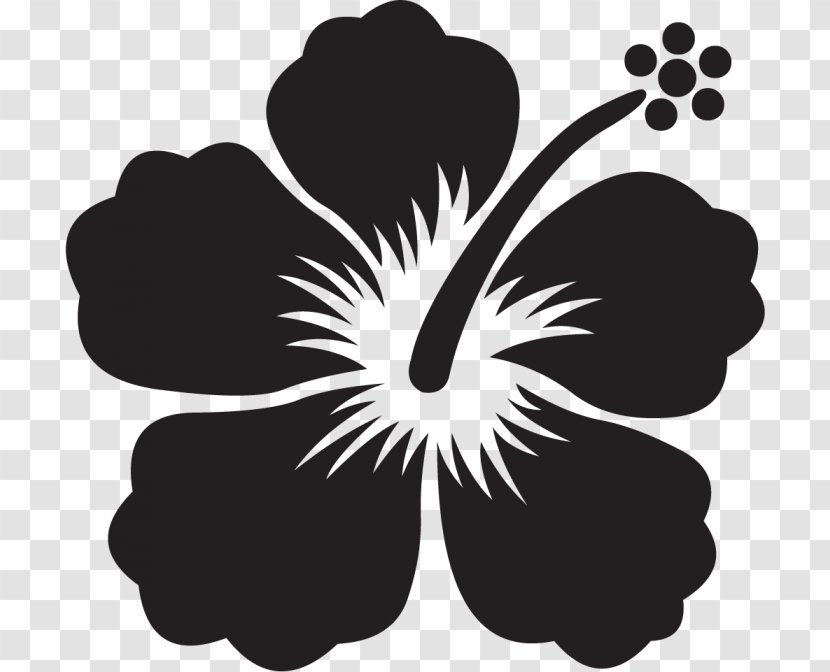 Clip Art Flower Shoeblackplant Drawing Paper - Mallow Family Transparent PNG