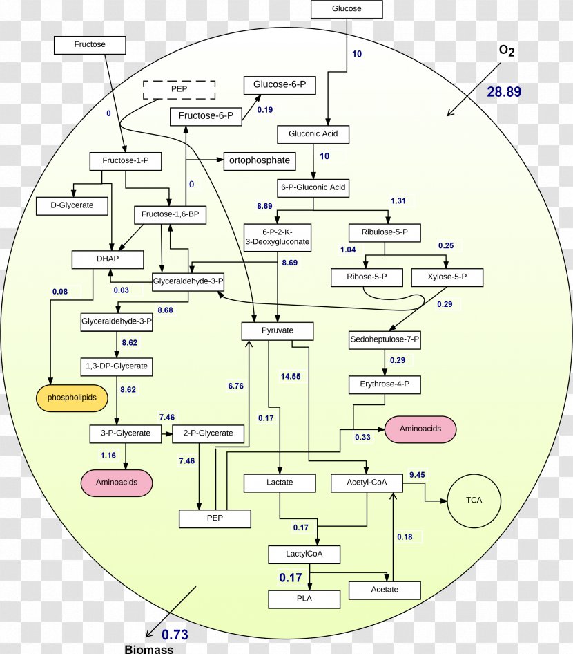 Line Angle Diagram Transparent PNG