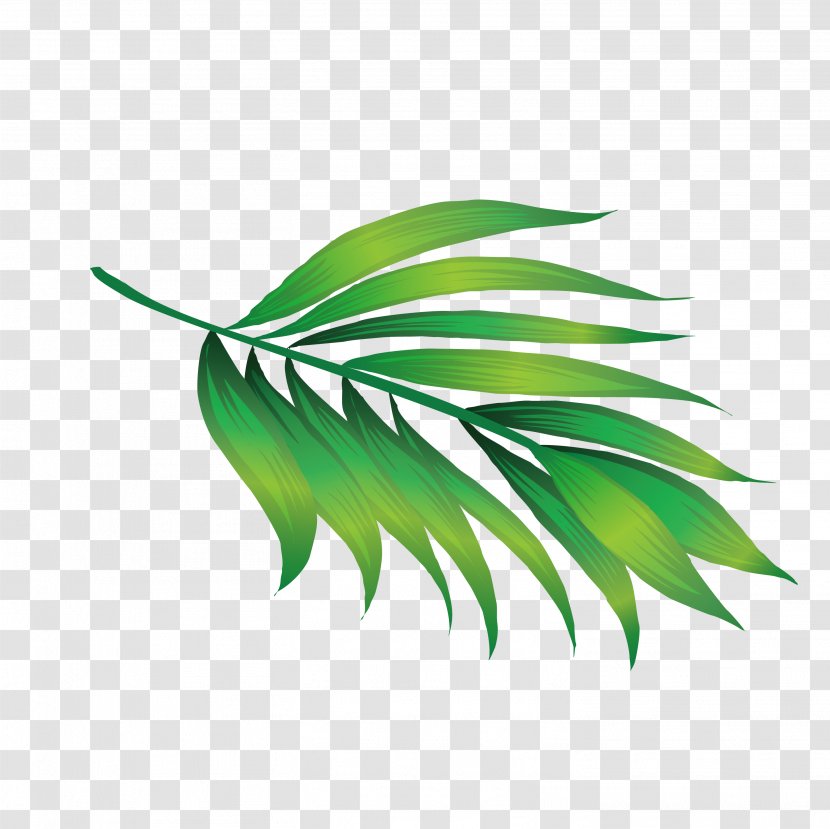 Hawaii Icon - Tree - Leaves Transparent PNG