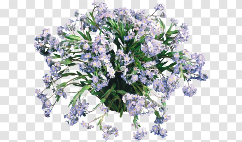 Flower Bouquet English Lavender Cut Flowers Clip Art - Lilac Transparent PNG