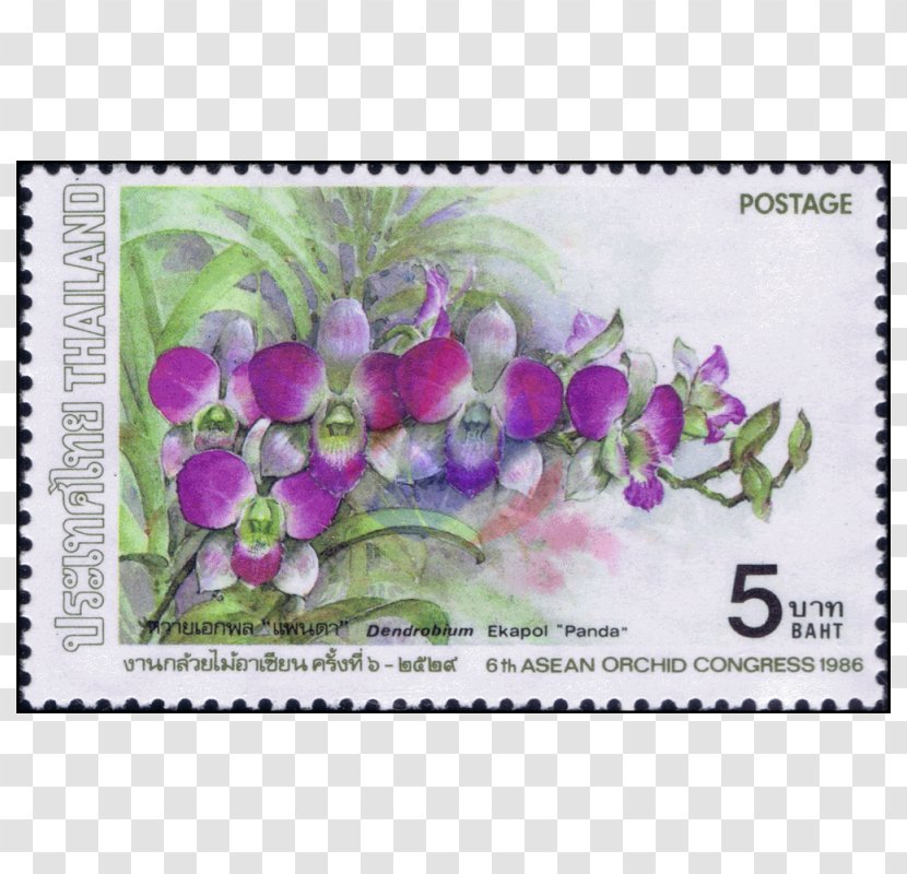 Lavender Lilac Violet Purple Magenta - Mail Postmark Transparent PNG