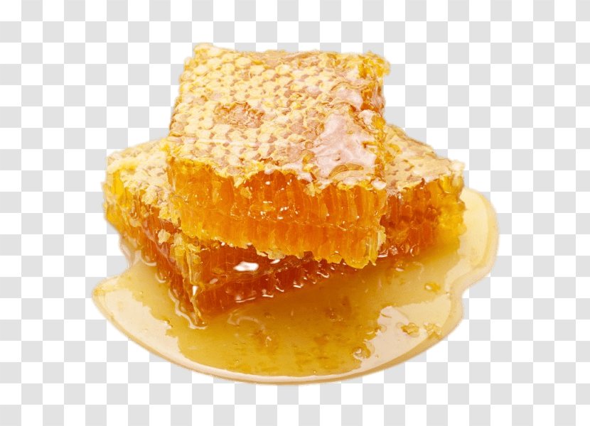Honeycomb Food Bee - Royal Jelly - Honey Transparent PNG