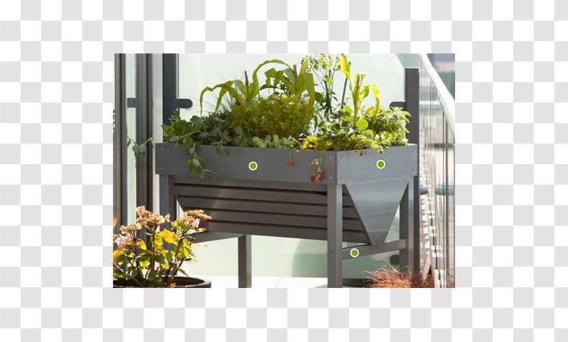 Raised-bed Gardening Vegetable Herb - Aluminium Transparent PNG